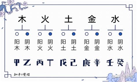 乙木 庚金|八十天干詳解——乙木